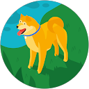 PppPp Pppp profile picture